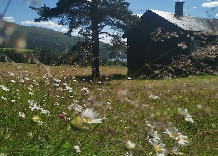 Semesterbostad Asrud Seter I Jotunheimen