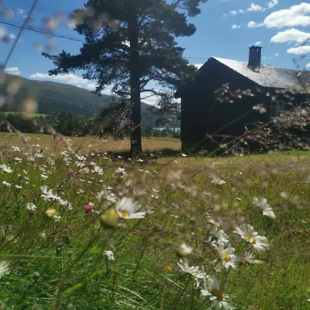Hébergement de vacances Asrud Seter I Jotunheimen